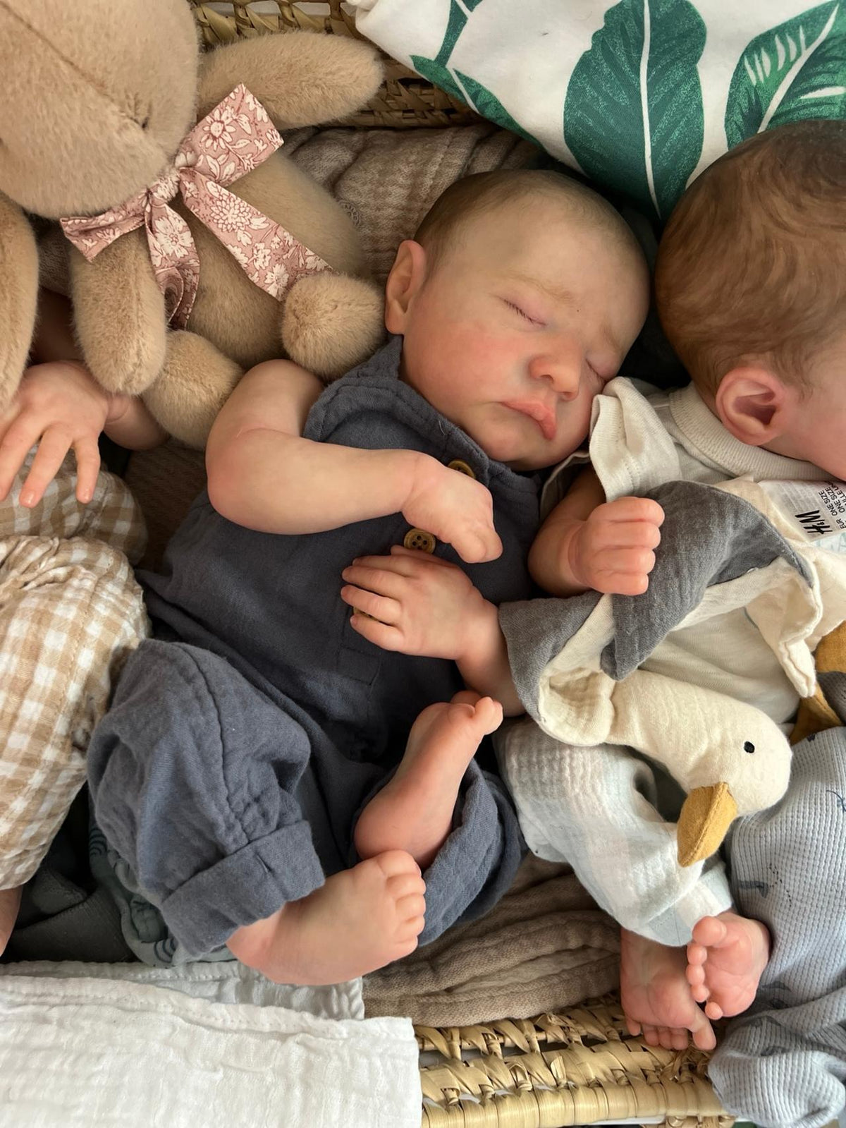 Luna & Leo -Twin sleeping silicone Reborn Baby Dolls set(17-inch) Ultra Realistic,Gift box +Bunny included