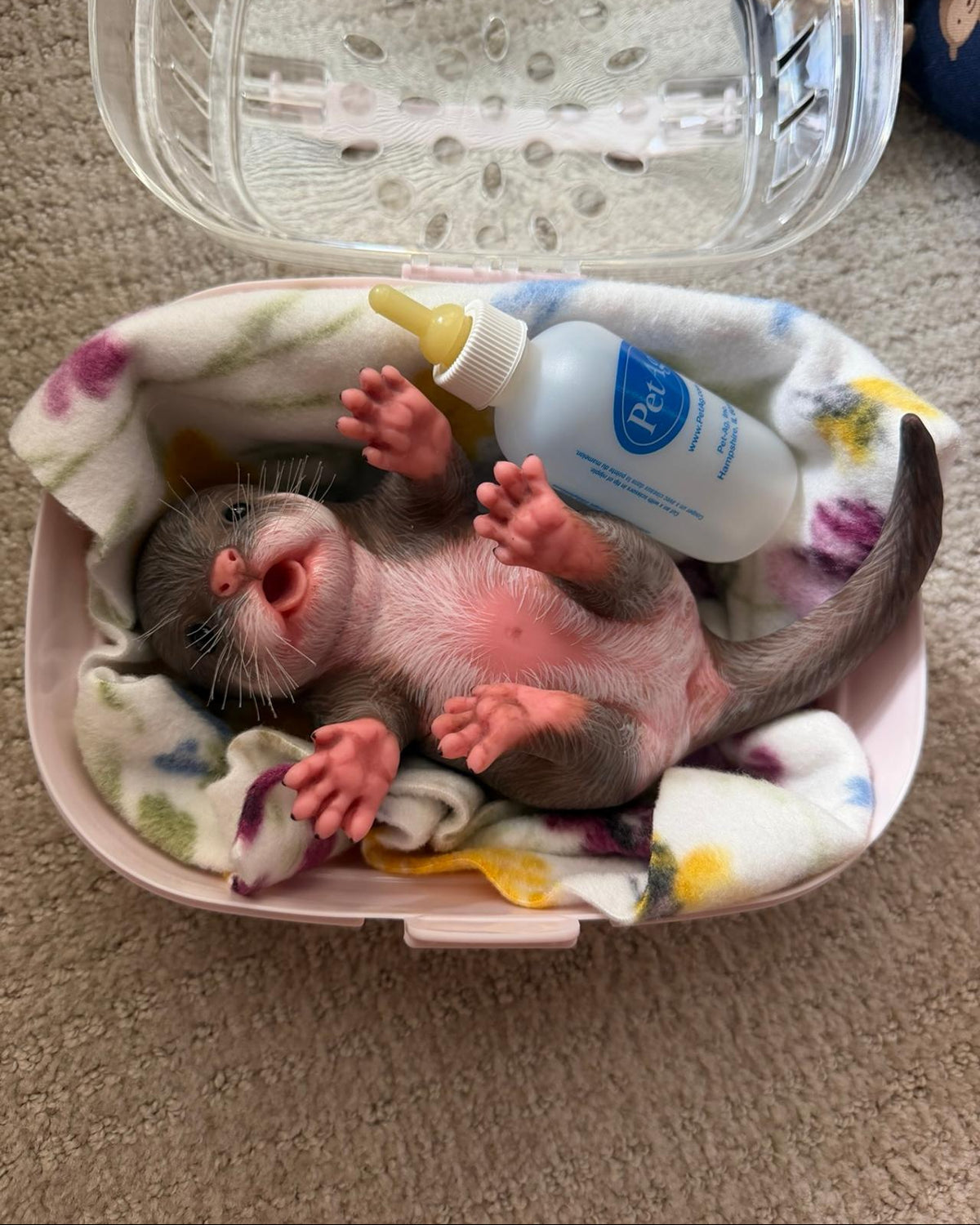 Silicone doll
New | Reborn