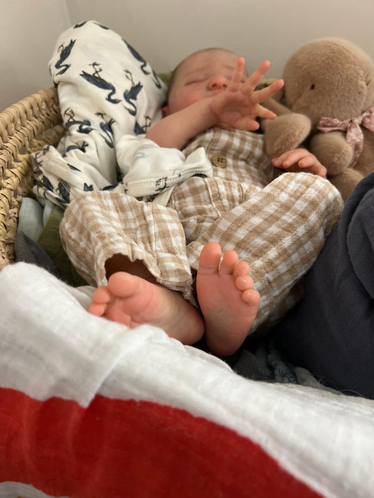 Luna & Leo -Twin sleeping silicone Reborn Baby Dolls set(17-inch) Ultra Realistic,Gift box +Bunny included