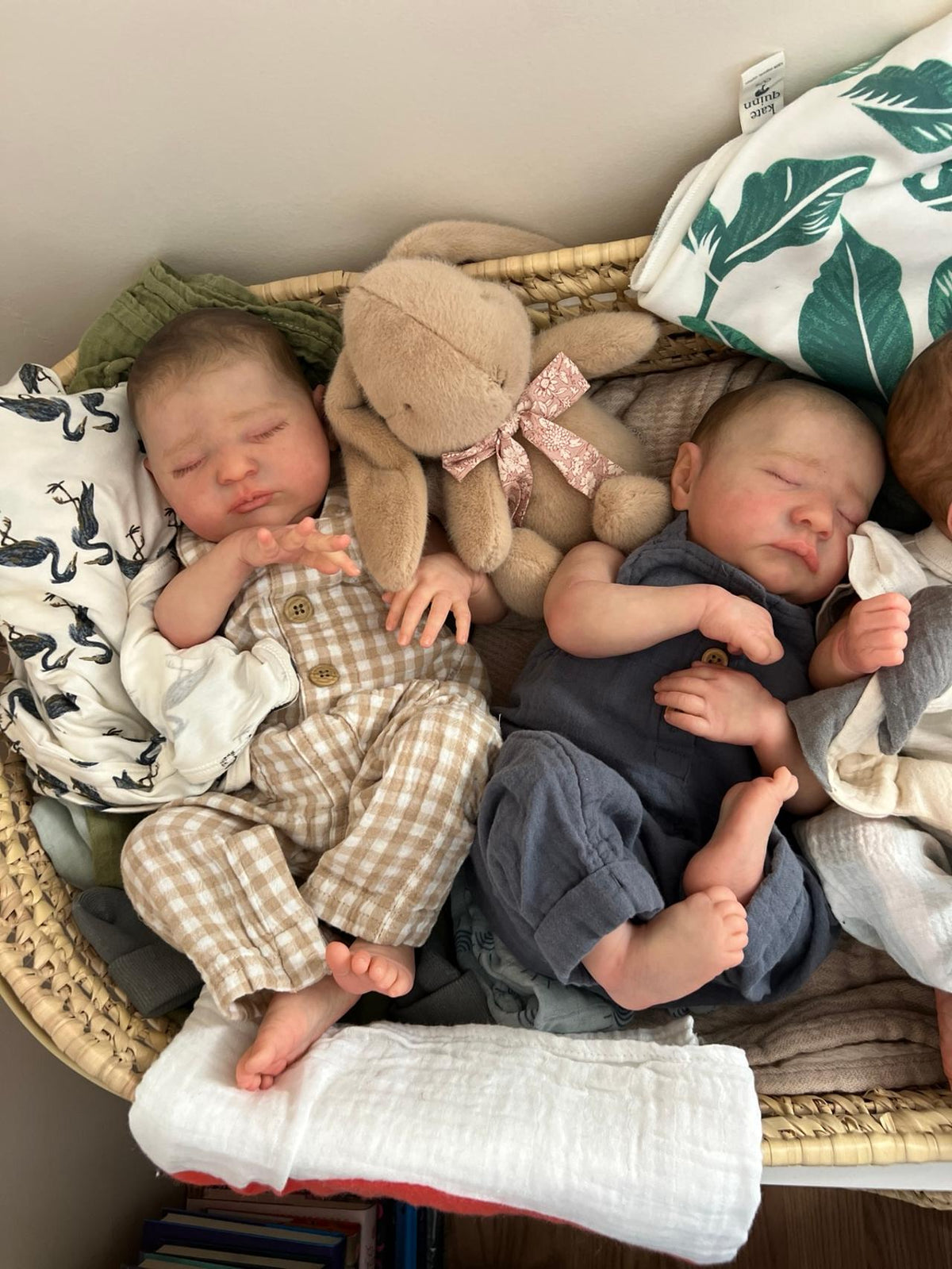 Luna & Leo -Twin sleeping silicone Reborn Baby Dolls set(17-inch) Ultra Realistic,Gift box +Bunny included