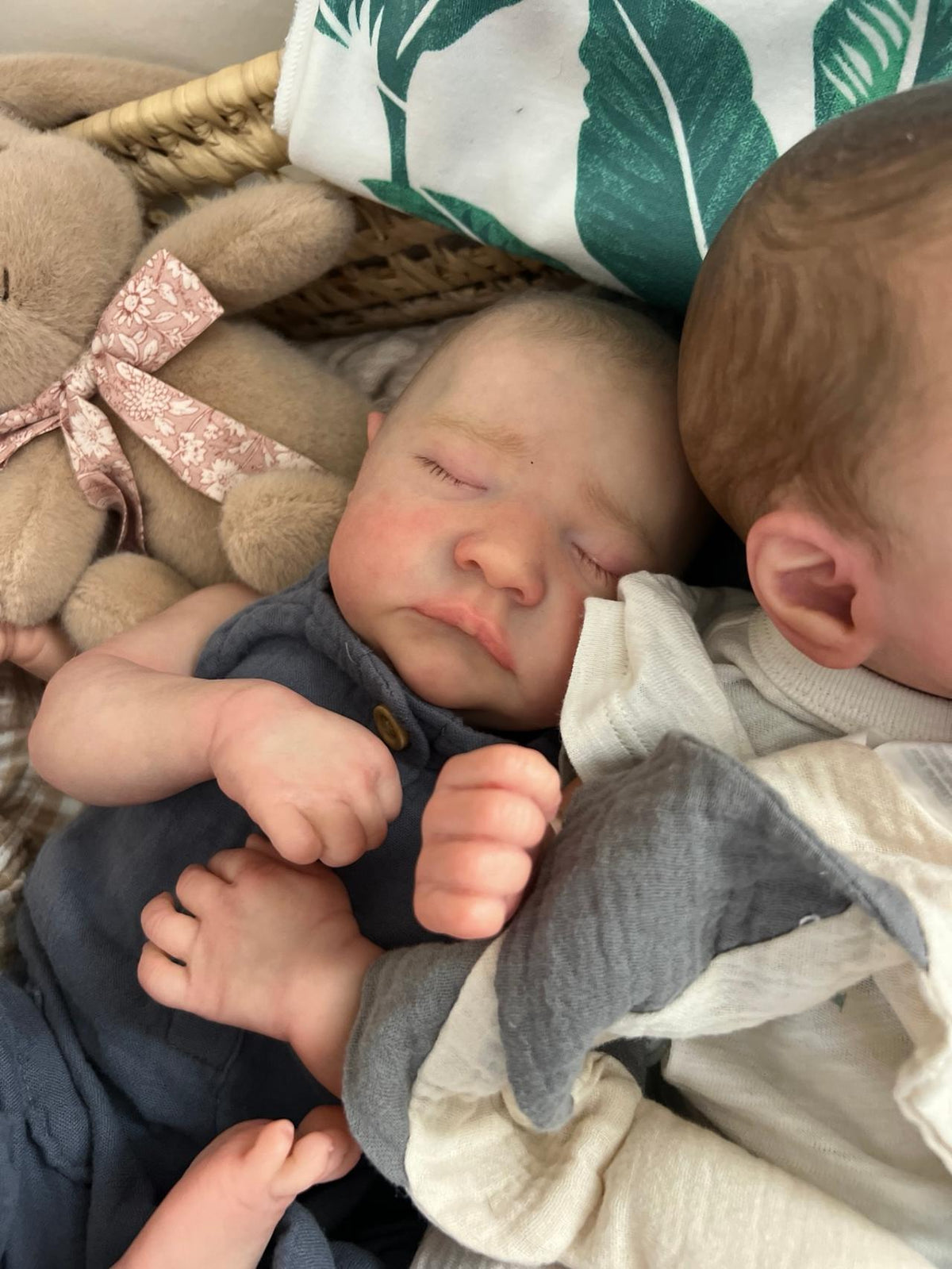 Luna & Leo -Twin sleeping silicone Reborn Baby Dolls set(17-inch) Ultra Realistic,Gift box +Bunny included