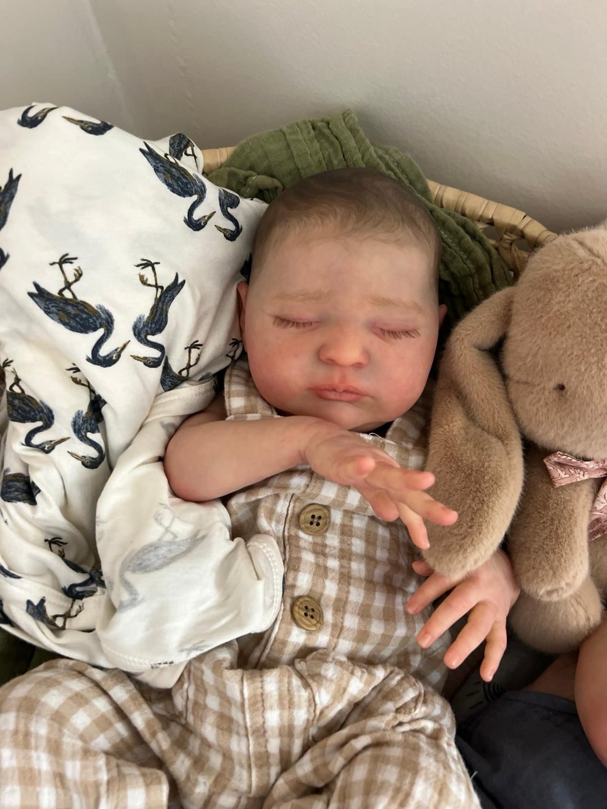 Luna & Leo -Twin sleeping silicone Reborn Baby Dolls set(17-inch) Ultra Realistic,Gift box +Bunny included