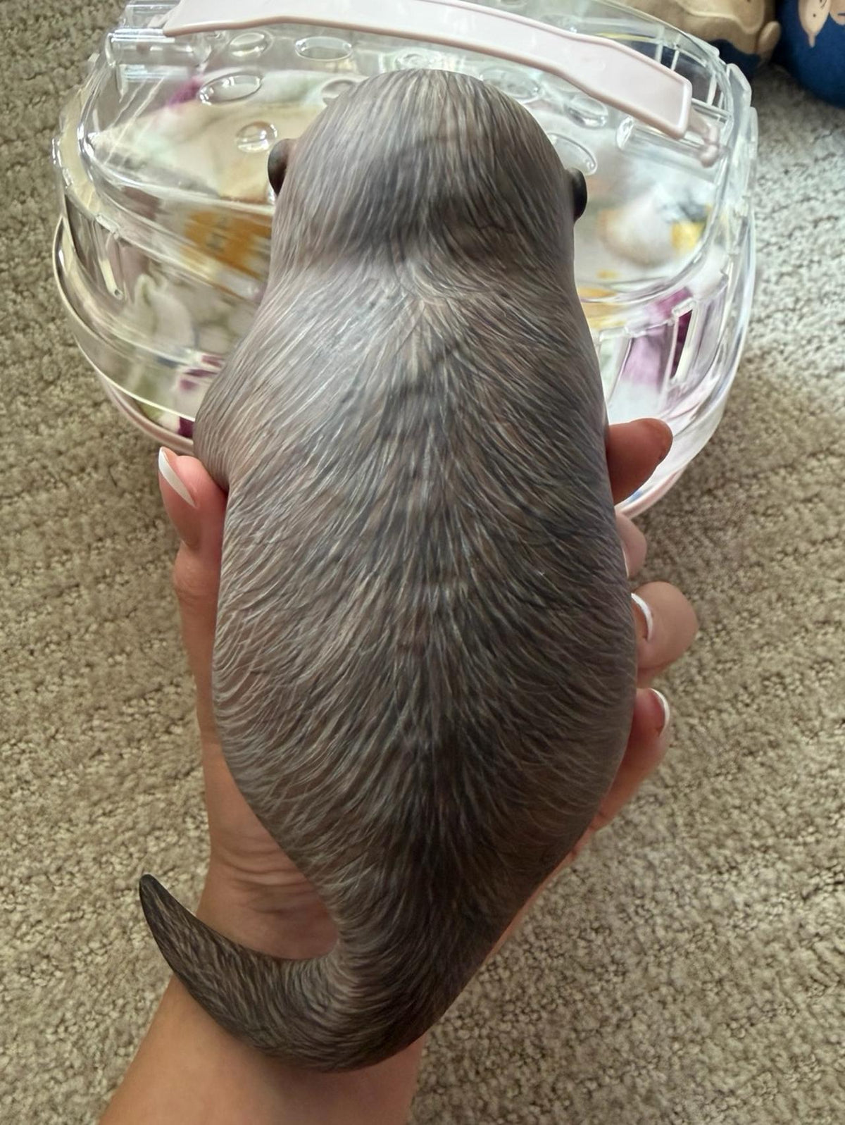 Silicone doll
New | Reborn