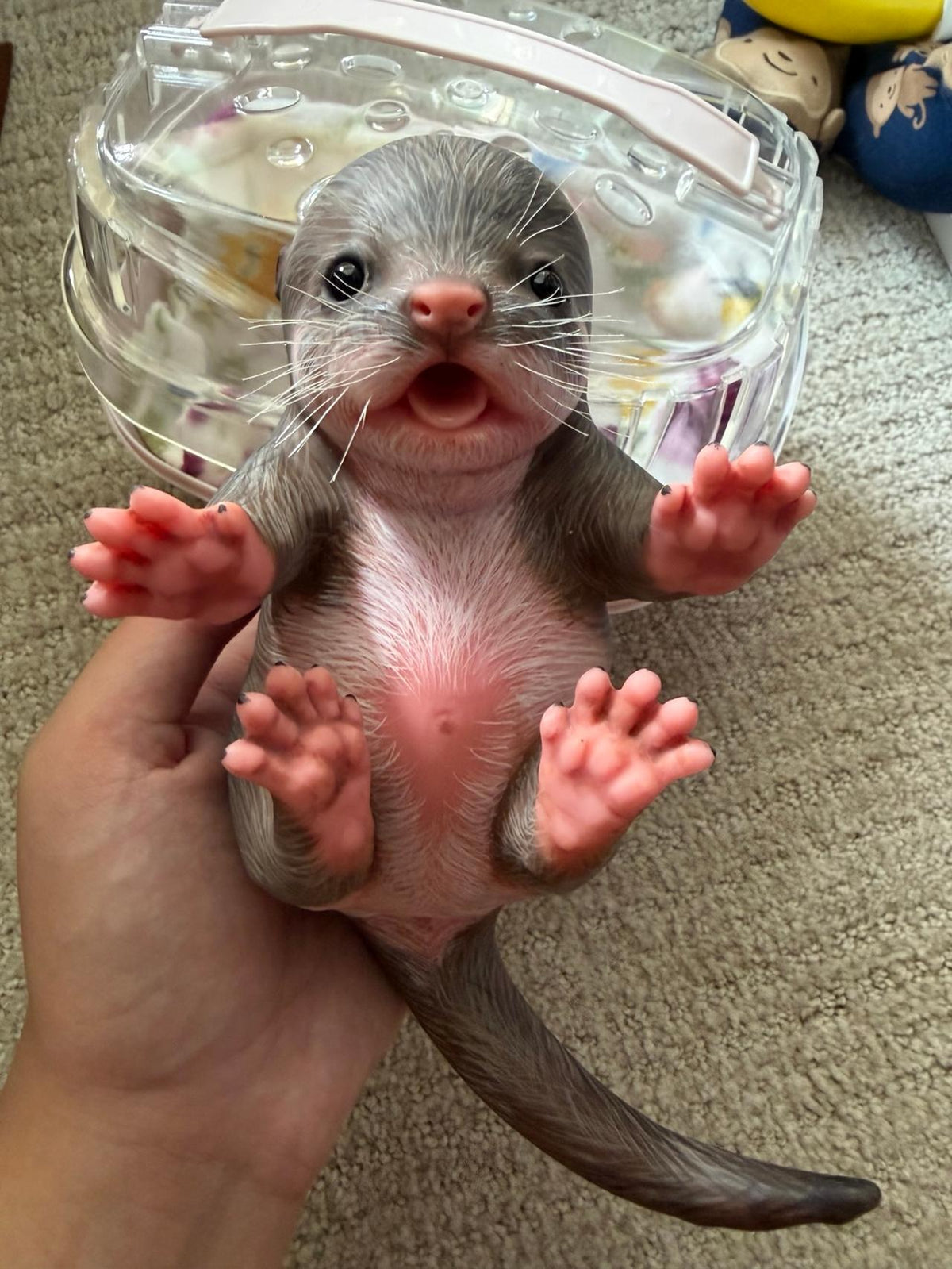 Silicone doll
New | Reborn